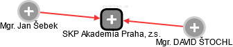 SKP Akademia Praha, z.s. - náhled vizuálního zobrazení vztahů obchodního rejstříku