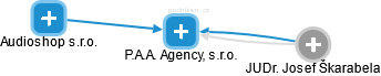 P.A.A. Agency, s.r.o. - náhled vizuálního zobrazení vztahů obchodního rejstříku