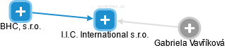 I.I.C. International s.r.o. - náhled vizuálního zobrazení vztahů obchodního rejstříku