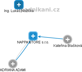NAPPA STORE s.r.o. - náhled vizuálního zobrazení vztahů obchodního rejstříku
