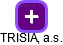 TRISIA, a.s. - náhled vizuálního zobrazení vztahů obchodního rejstříku