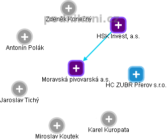 Moravská pivovarská a.s. - náhled vizuálního zobrazení vztahů obchodního rejstříku