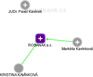 ROSANAX a.s. - náhled vizuálního zobrazení vztahů obchodního rejstříku