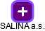 SALINA a.s. - náhled vizuálního zobrazení vztahů obchodního rejstříku