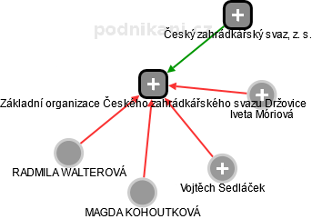 Základní organizace Českého zahrádkářského svazu Držovice - náhled vizuálního zobrazení vztahů obchodního rejstříku