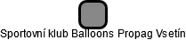 Sportovní klub Balloons Propag Vsetín - náhled vizuálního zobrazení vztahů obchodního rejstříku