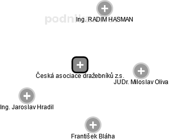 Česká asociace dražebníků z.s. - náhled vizuálního zobrazení vztahů obchodního rejstříku