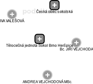 Tělocvičná jednota Sokol Brno Heršpice - náhled vizuálního zobrazení vztahů obchodního rejstříku