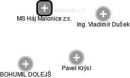 MS Háj Malonice z.s. - náhled vizuálního zobrazení vztahů obchodního rejstříku