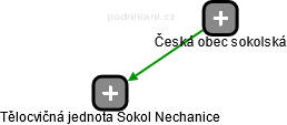 Tělocvičná jednota Sokol Nechanice - náhled vizuálního zobrazení vztahů obchodního rejstříku