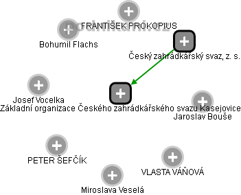 Základní organizace Českého zahrádkářského svazu Kasejovice - náhled vizuálního zobrazení vztahů obchodního rejstříku