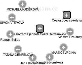 Tělocvičná jednota Sokol Dětmarovice - náhled vizuálního zobrazení vztahů obchodního rejstříku