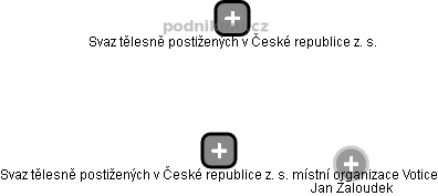 Svaz tělesně postižených v České republice z. s. místní organizace Votice - náhled vizuálního zobrazení vztahů obchodního rejstříku