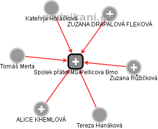 Spolek přátel MŠ Pellicova Brno - náhled vizuálního zobrazení vztahů obchodního rejstříku