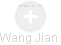 Wang Jian. - Vizualizace  propojení osoby a firem v obchodním rejstříku