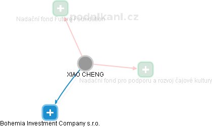XIAO CHENG - Vizualizace  propojení osoby a firem v obchodním rejstříku