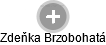 Zdeňka Brzobohatá - Vizualizace  propojení osoby a firem v obchodním rejstříku