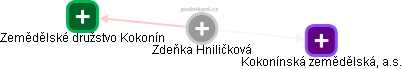 Zdeňka Hniličková - Vizualizace  propojení osoby a firem v obchodním rejstříku