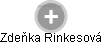 Zdeňka Rinkesová - Vizualizace  propojení osoby a firem v obchodním rejstříku