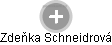 Zdeňka Schneidrová - Vizualizace  propojení osoby a firem v obchodním rejstříku