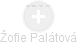 Žofie Palátová - Vizualizace  propojení osoby a firem v obchodním rejstříku