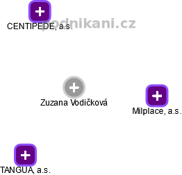  Zuzana V. - Vizualizace  propojení osoby a firem v obchodním rejstříku