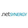 NetSynergy a.s. - logo