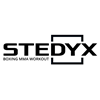 Stedyx s.r.o. - logo