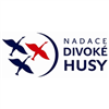 Nadace Divoké husy - logo