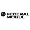 Federal-Mogul Friction Products a.s. - logo