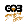 Č.O.B. slévárna s. r. o. - logo