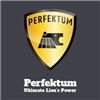 PERFEKTUM Group, s.r.o. - logo