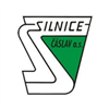 SILNICE ČÁSLAV - HOLDING, a.s. - logo