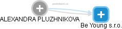 ALEXANDRA PLUZHNIKOVA - Vizualizace  propojení osoby a firem v obchodním rejstříku