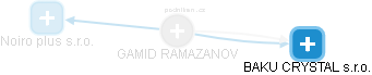 GAMID RAMAZANOV - Vizualizace  propojení osoby a firem v obchodním rejstříku