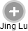 Jing Lu - Vizualizace  propojení osoby a firem v obchodním rejstříku
