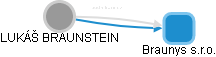  Braunstein L. - Vizualizace  propojení osoby a firem v obchodním rejstříku
