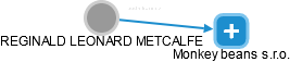REGINALD LEONARD METCALFE - Vizualizace  propojení osoby a firem v obchodním rejstříku
