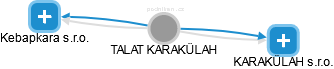  Karakülah T. - Vizualizace  propojení osoby a firem v obchodním rejstříku