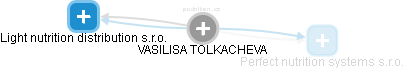 VASILISA TOLKACHEVA - Vizualizace  propojení osoby a firem v obchodním rejstříku