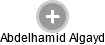 Abdelhamid Algayd - Vizualizace  propojení osoby a firem v obchodním rejstříku