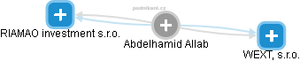  Abdelhamid A. - Vizualizace  propojení osoby a firem v obchodním rejstříku