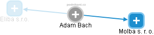  Adam B. - Vizualizace  propojení osoby a firem v obchodním rejstříku