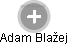 Adam Blažej - Vizualizace  propojení osoby a firem v obchodním rejstříku