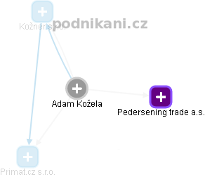  Adam K. - Vizualizace  propojení osoby a firem v obchodním rejstříku