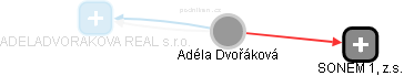  Adéla D. - Vizualizace  propojení osoby a firem v obchodním rejstříku