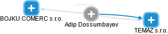  Adip D. - Vizualizace  propojení osoby a firem v obchodním rejstříku