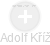  Adolf K. - Vizualizace  propojení osoby a firem v obchodním rejstříku