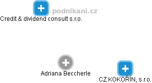 Adriana Beccherle - Vizualizace  propojení osoby a firem v obchodním rejstříku