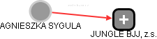  Sygula A. - Vizualizace  propojení osoby a firem v obchodním rejstříku